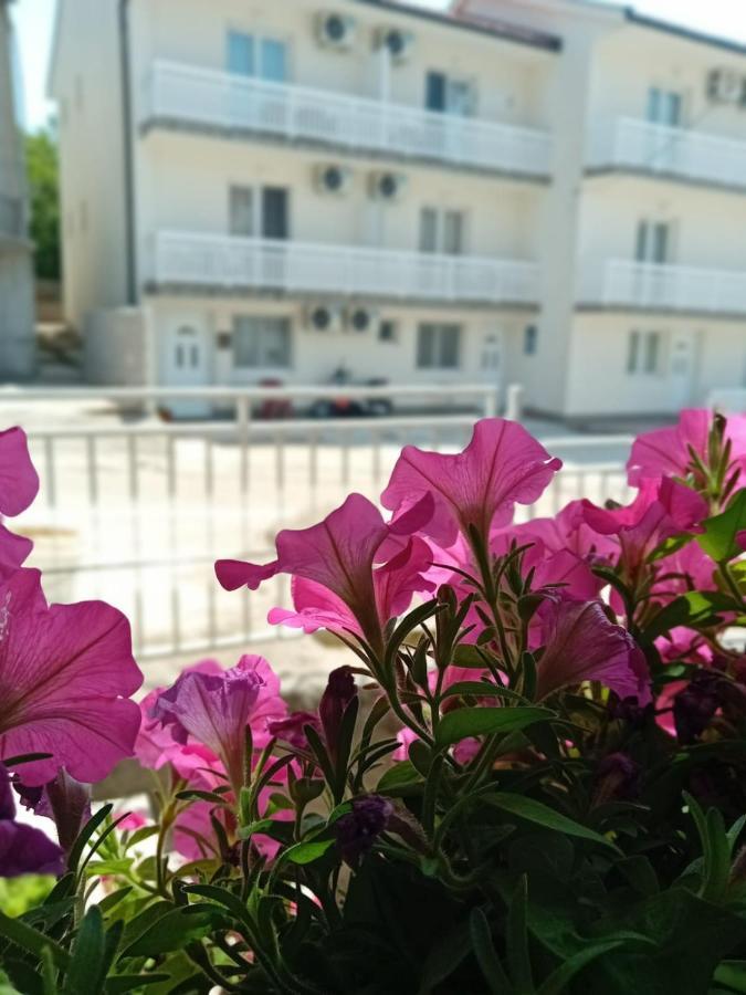 נאום Apartmani Andela מראה חיצוני תמונה